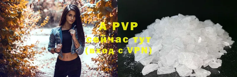 omg вход  Бежецк  Alpha PVP СК 